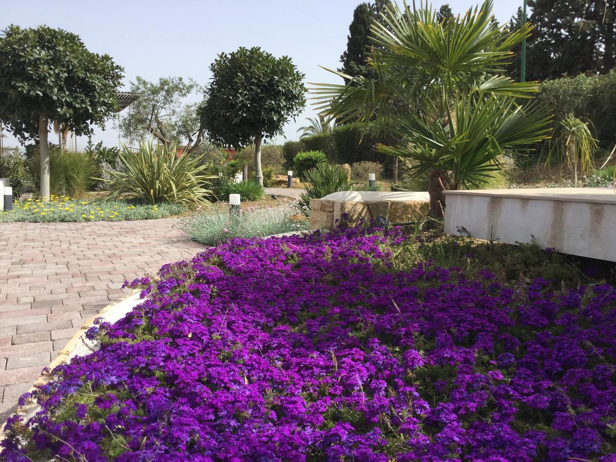 Il Colle Del Rustico Bed & Breakfast อากริเจนโต ภายนอก รูปภาพ
